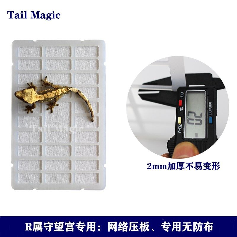 无纺布垫材爬宠网格压板睫角R属巨人守宫垫板饲养盒爬柜厨房纸,宠物/宠物食品及用品,爬宠缸/箱,淘宝优惠券,粉丝福利购,淘宝优惠卷