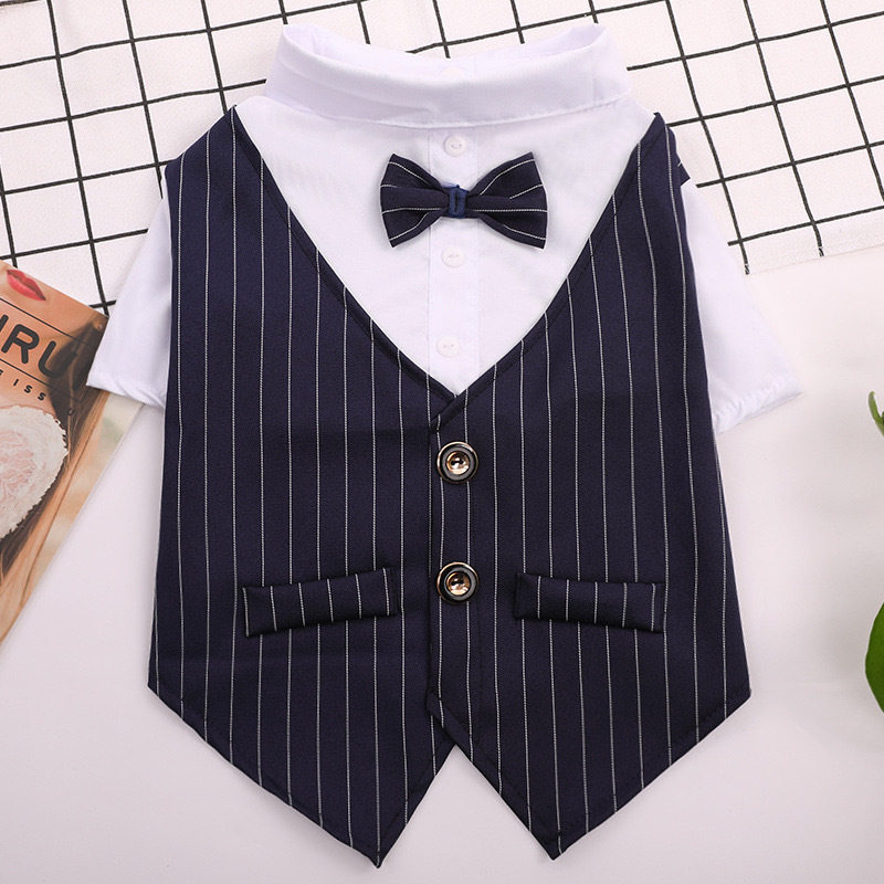 新宠物猫咪春夏季衣服薄款西服衬衫西装婚纱礼服结婚泰迪犬大型