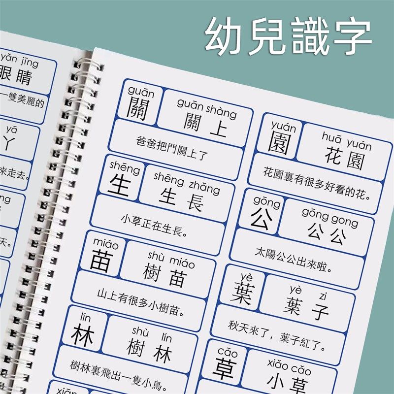 繁体港版幼儿识字1300字卡片幼小衔接启蒙学汉字配套练习认字卡