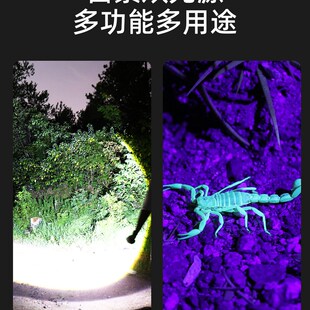 双光蝎子灯手电筒强光超亮可充电395紫色灯特殊大功率超长寿命照