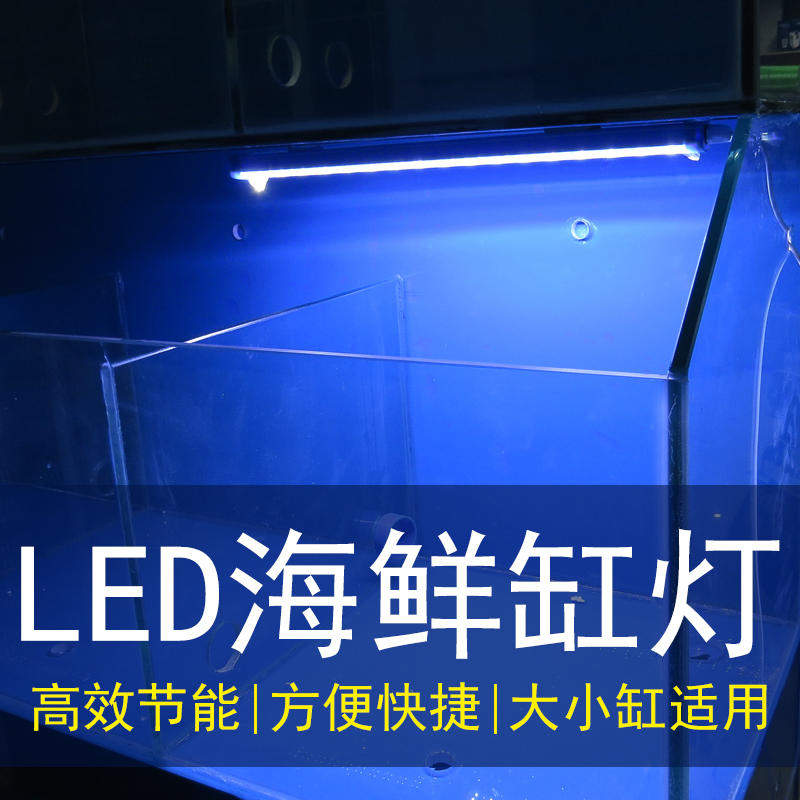 螃蟹海鲜池鱼缸LED照明灯节能防水方管蓝色外壳PVC管道配件灯光