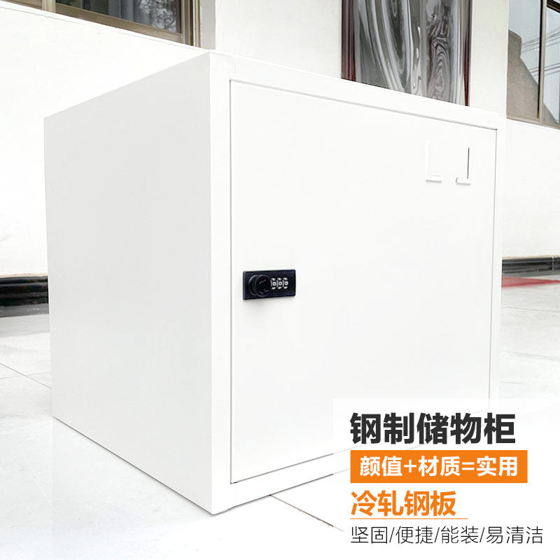 单门铁皮小型文件柜密码不锈钢食品添加剂专用柜家用学生收纳带锁