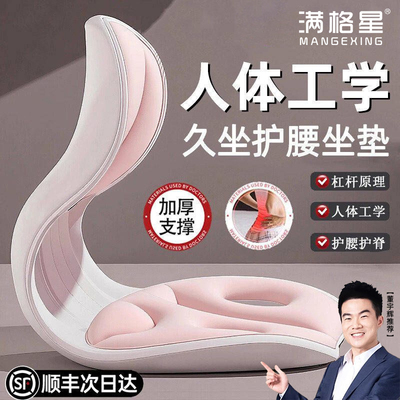 董宇丨晖推荐】人体工学护腰坐垫