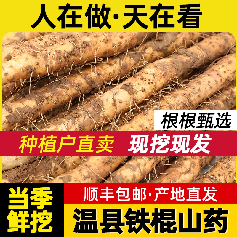 正宗河南焦作铁棍长怀山药温县垆土官方旗舰店淮山药粉干农家新鲜