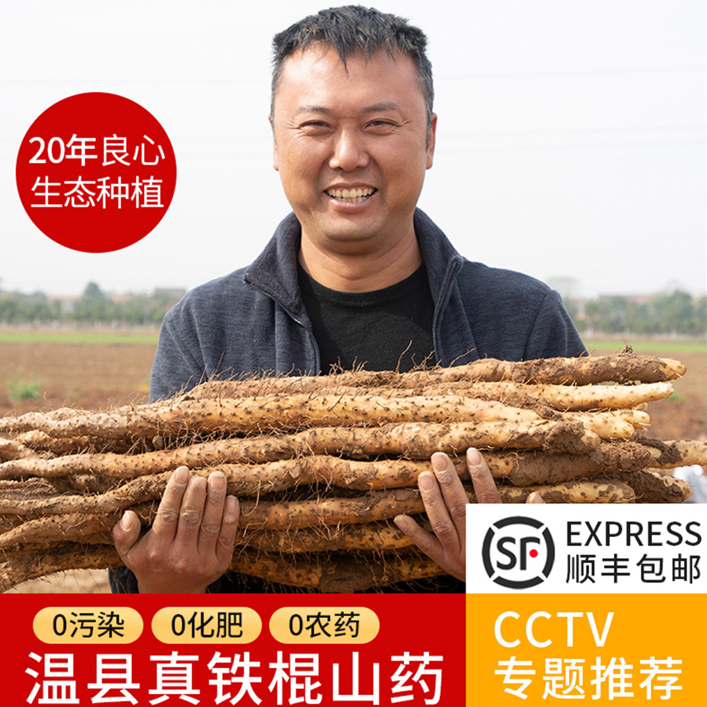 温县垆土铁棍山药正宗新鲜淮山药