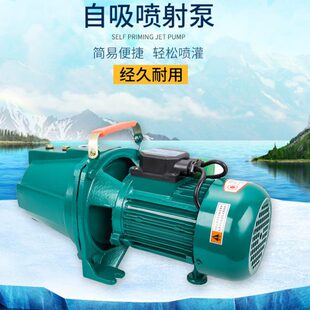 凌霄款 抽井水家用抽水泵 JET自吸清水喷射大头泵 家用增压泵