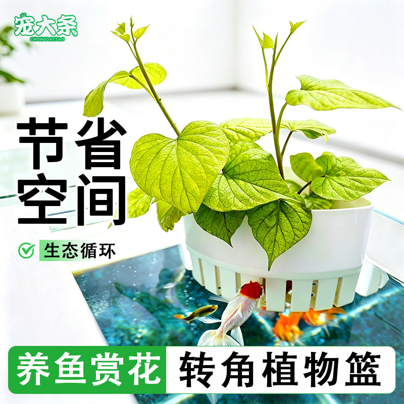 【宠大条】鱼缸水培定植篮水草植物篮壁挂式家用种植杯造景装饰