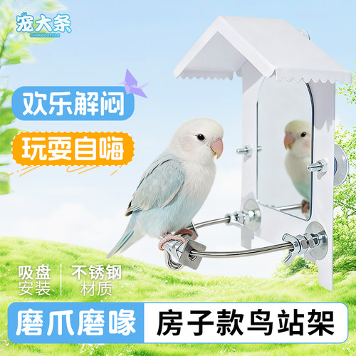 鹦鹉站架房子模型不锈钢站杆