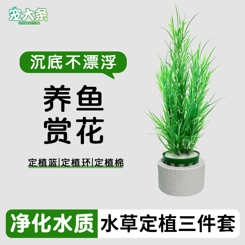 宠大条新款水草定植三件套