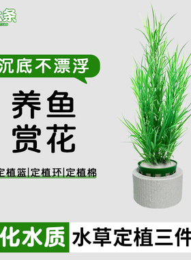 【宠大条】新款水草定植三件套鱼缸造景定植篮陶瓷环定植棉不掉篮
