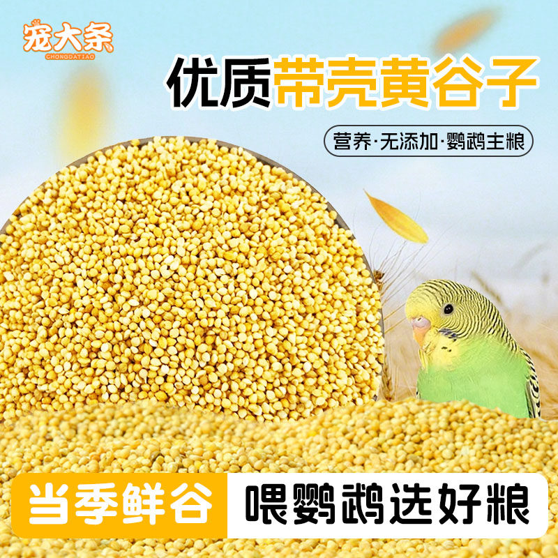 宠大条新黄谷子带壳小米鹦鹉饲料