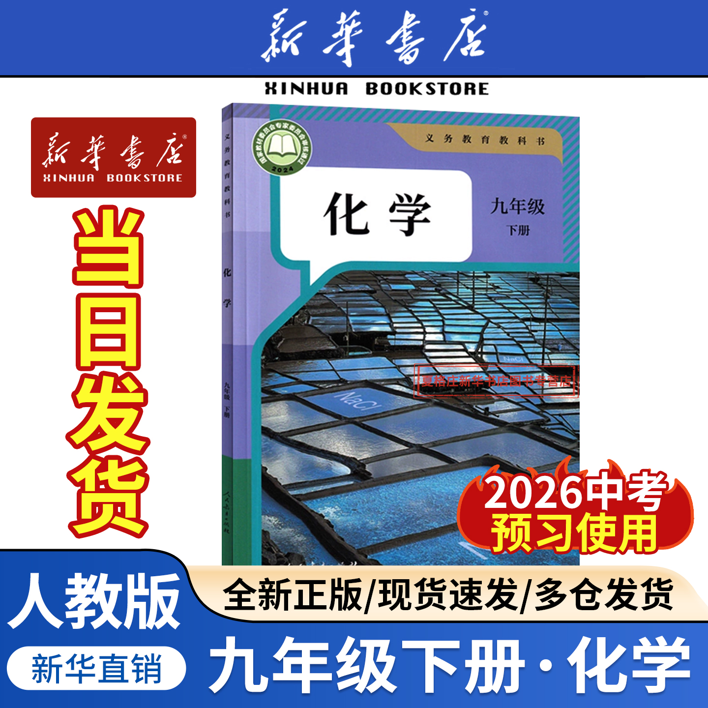 【新华书店正版】初中9九