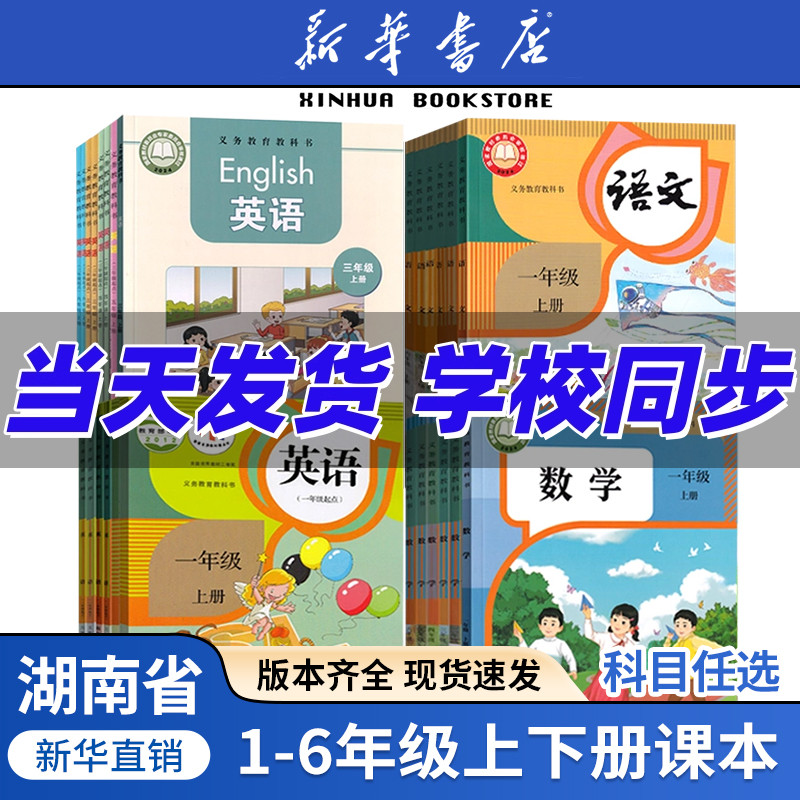 【新华正版】湖南省小学一
