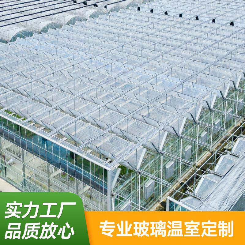 玻璃温室大棚暖棚西瓜蔬菜养殖农业观光可配遮阳网智能骨架大棚