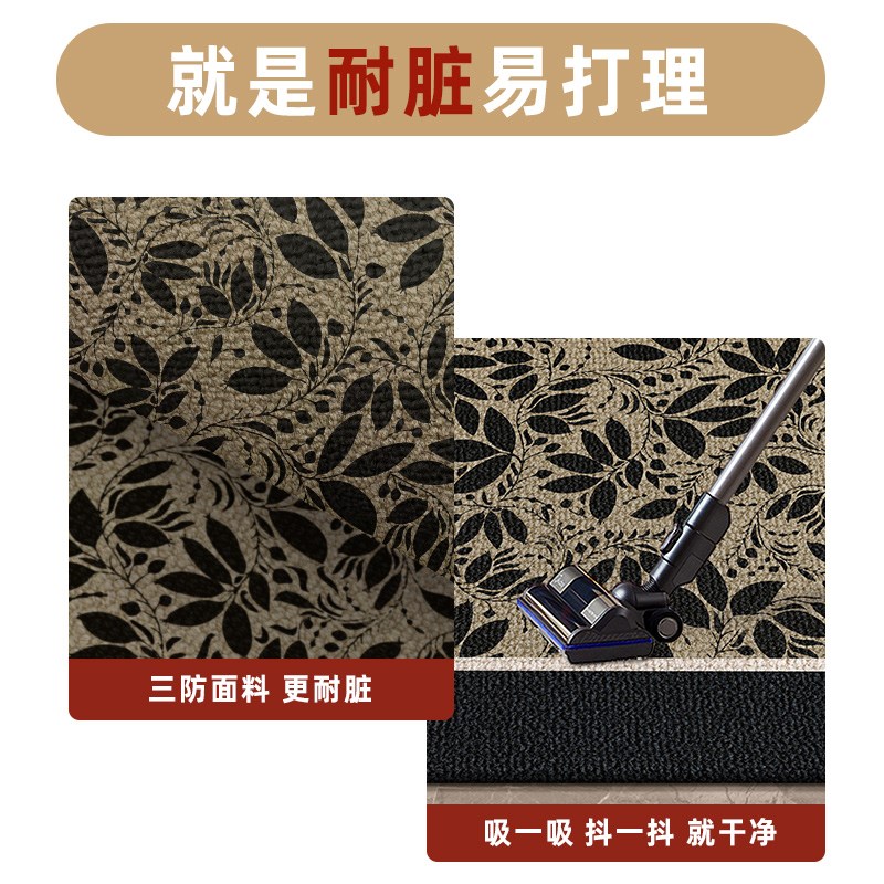 入户门口地垫轻奢风现代耐脏蹭脚垫可擦免洗玄关门口地毯耐磨垫子