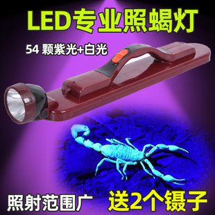 折叠式紫光蝎子灯强光大功率手提灯大范围照蝎子豆虫专用灯充电式