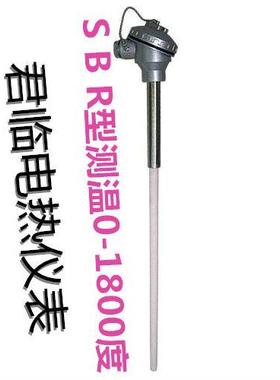 进口S型铂铑热电偶WRP-130/0-1600度高温刚玉管热电偶温度感测器