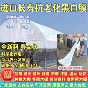 进口加厚养殖黑白膜防晒大棚黑白膜反光隔热降温膜食用菌大棚膜