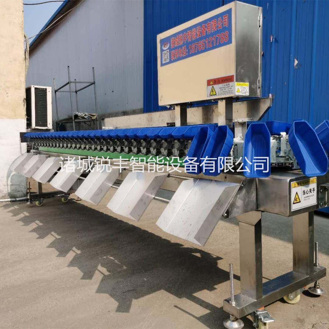 黄桃分拣机香梨自动分拣机PLC控制系统芋头分拣机荔浦芋头分拣机,清洗/食品/商业设备,其他食品加工设备,淘宝优惠券,粉丝福利购,淘宝优惠卷