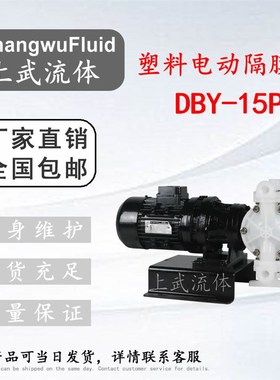DY-15/20/25/p32型耐腐蚀全塑料电动隔膜泵 /防腐塑料电动隔膜泵