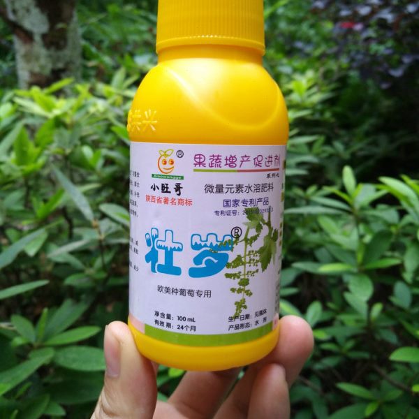 小旺哥劲娃葡萄拉穗剂拉花剂壮岁拉长花序果梗减少疏果软梗不掉粒