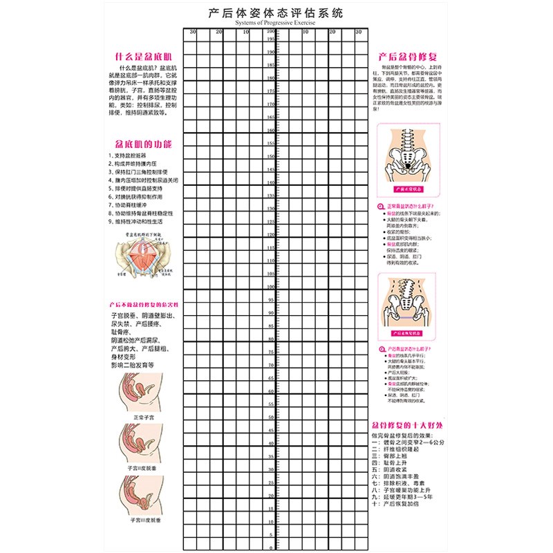 产后体态评估表盆底肌和骨盆修复墙壁画不正常姿势对比矫正体测图