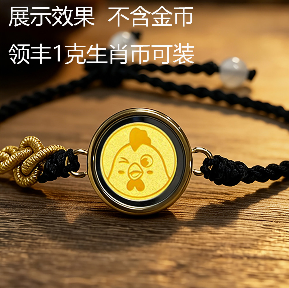 藏式唐卡吊坠领丰生肖金币可装嘎乌盒编织手绳纪念币空托外壳手链
