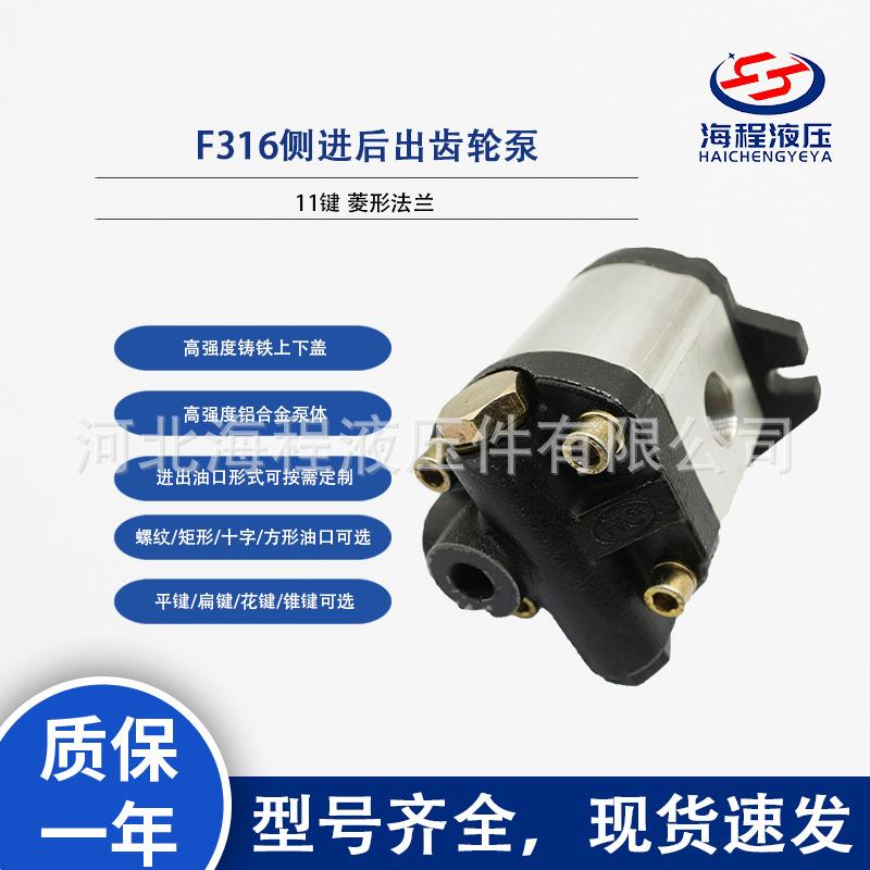 SDH上海大众同款F316侧进后出齿轮泵