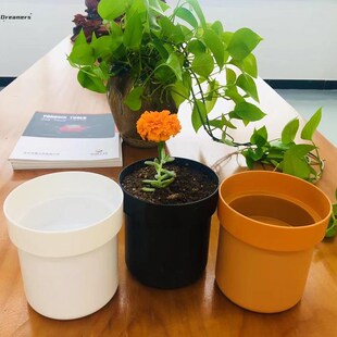 厂家。花盆暗格看不出来是存钱罐特别稀奇古怪隐形不起眼的暗盒藏