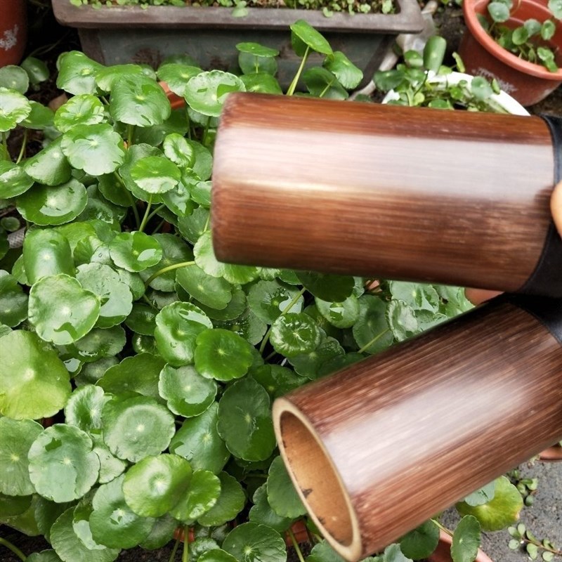 京胡配件 京胡筒蒙皮 蒙好皮的京胡筒 西皮/二黄 带乌皮京胡筒子