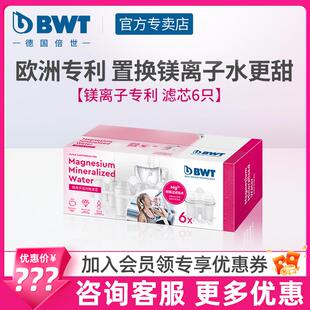 德国原装进口bwt镁离子滤芯家用过滤水壶滤芯倍世净水壶滤芯6只