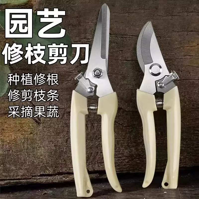 花剪枝园艺剪刀修枝剪省力修剪树枝果树竹签园林花卉专用花艺剪子