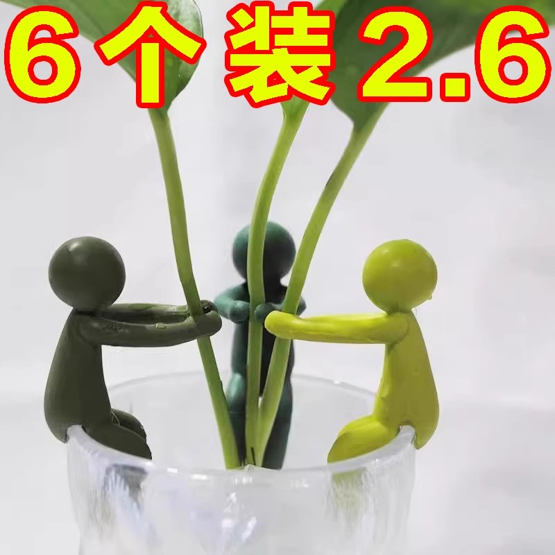新款水培植物生长伴侣桌面装饰