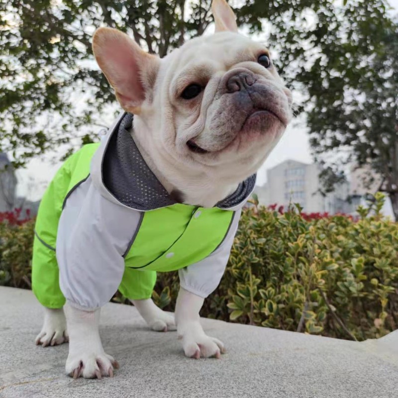宠物连帽四脚衣纸样泰迪金毛法牛雨衣图纸中型大型犬服饰棉服模版