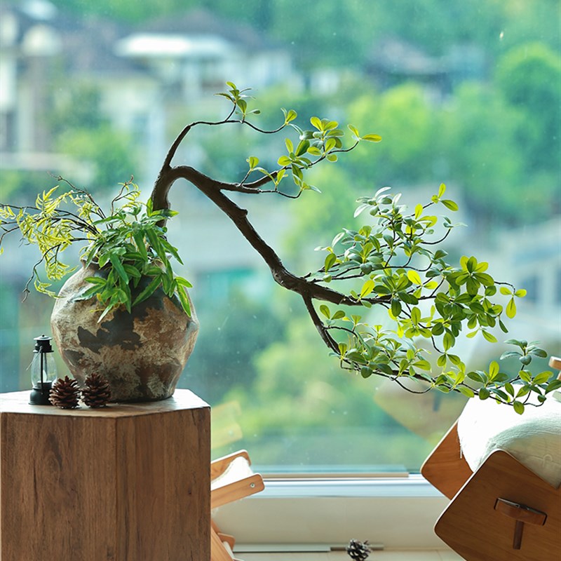 森空间模拟绿色植物经典造型盆栽室内简约风格客厅桌面入口Y茶室