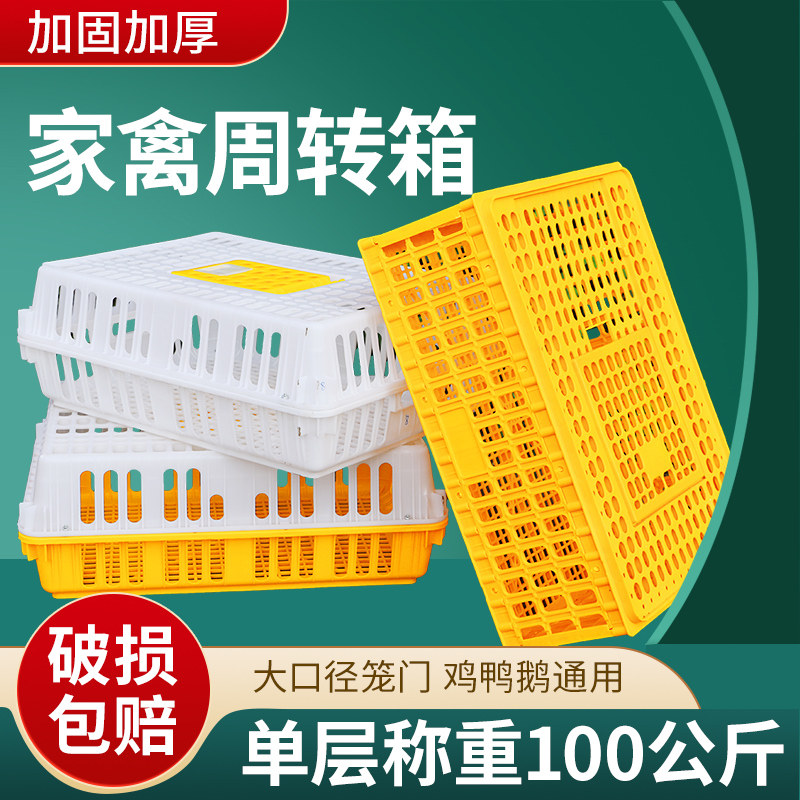 加厚加大鸡笼运输笼塑料家禽周转箱筐鸡鸭鹅O鸽子笼家用兔笼养殖