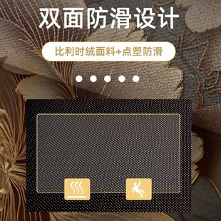 入户门地垫门口门垫进门防滑垫子家用地毯大门口玄关毯子 2024新款