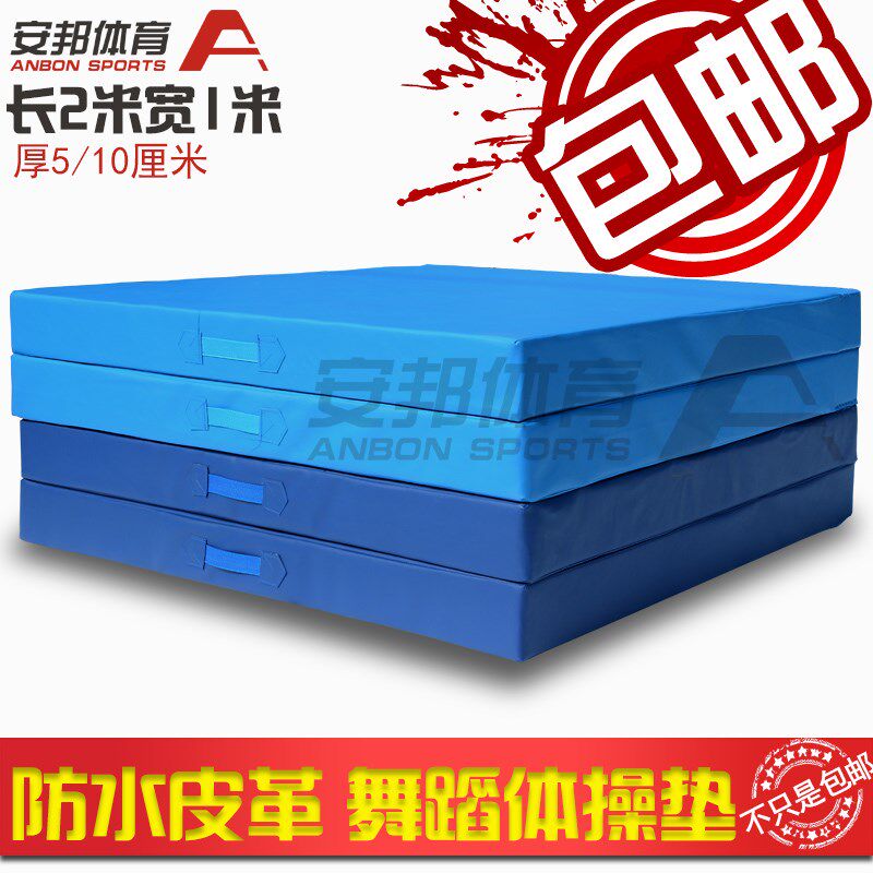 皮革舞蹈垫练功垫体操垫防滑瑜伽垫健身垫加厚仰卧.起坐垫器材