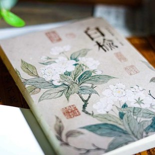 全白纸裸装手帐本空白内页笔w记本植物主题记事本旅行盖章本礼品