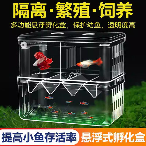 鱼缸隔离盒多功能小鱼繁殖隔离盒孵化盒孔雀鱼凤尾热带鱼苗产卵房