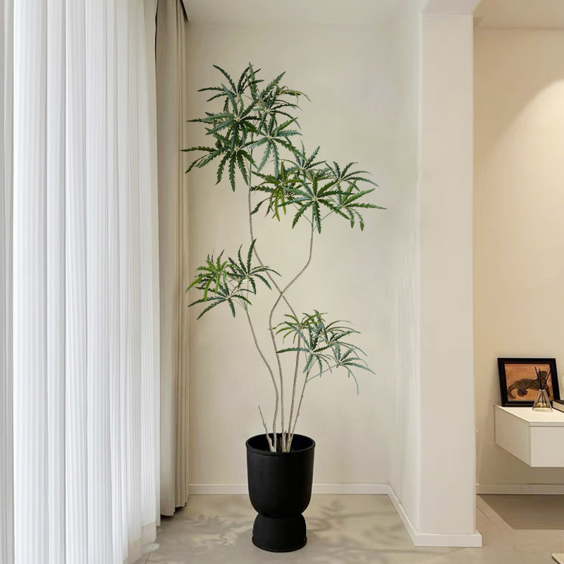 大型仿真绿植孔雀木室内客厅落z地装饰花高级仿生植物盆栽盆景摆