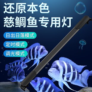 三湖慈鲷灯日出日落慈鲷蓝白灯鱼缸led灯防水水族灯慈鲷专用灯