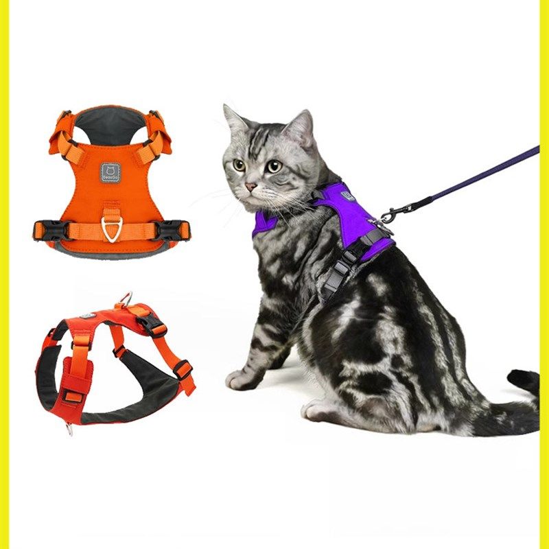 博戈猫束牵引绳猫旅v行免洗防分离可调i型牵引绳