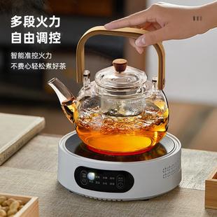 家用蒸煮耐高温电陶炉烧水套装 玻璃煮茶壶2024新款 可明火养生单壶