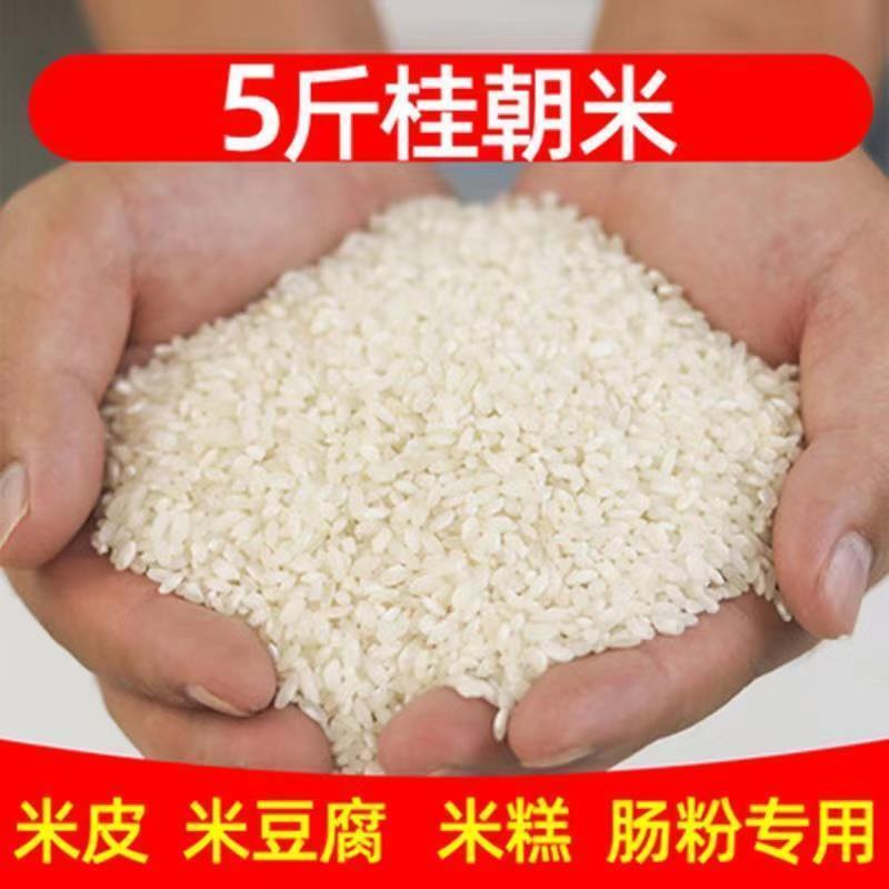 桂朝米凉糕肠河粉汉中米皮专用大米豆腐早贵州贵潮米商用珍桂