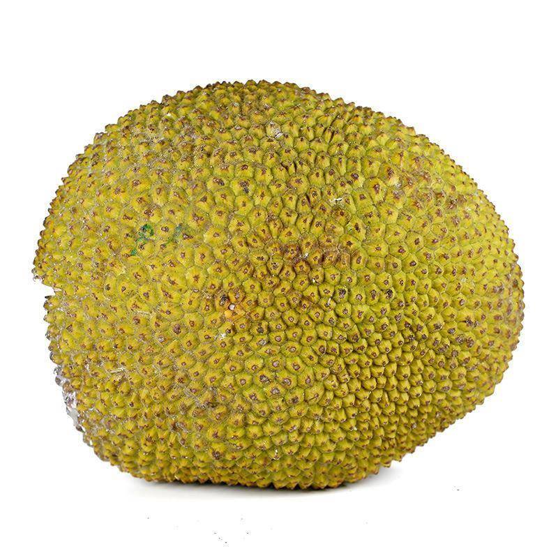 【全年供应】海南黄肉菠萝蜜 新鲜老树菠萝蜜30-35斤榴莲蜜