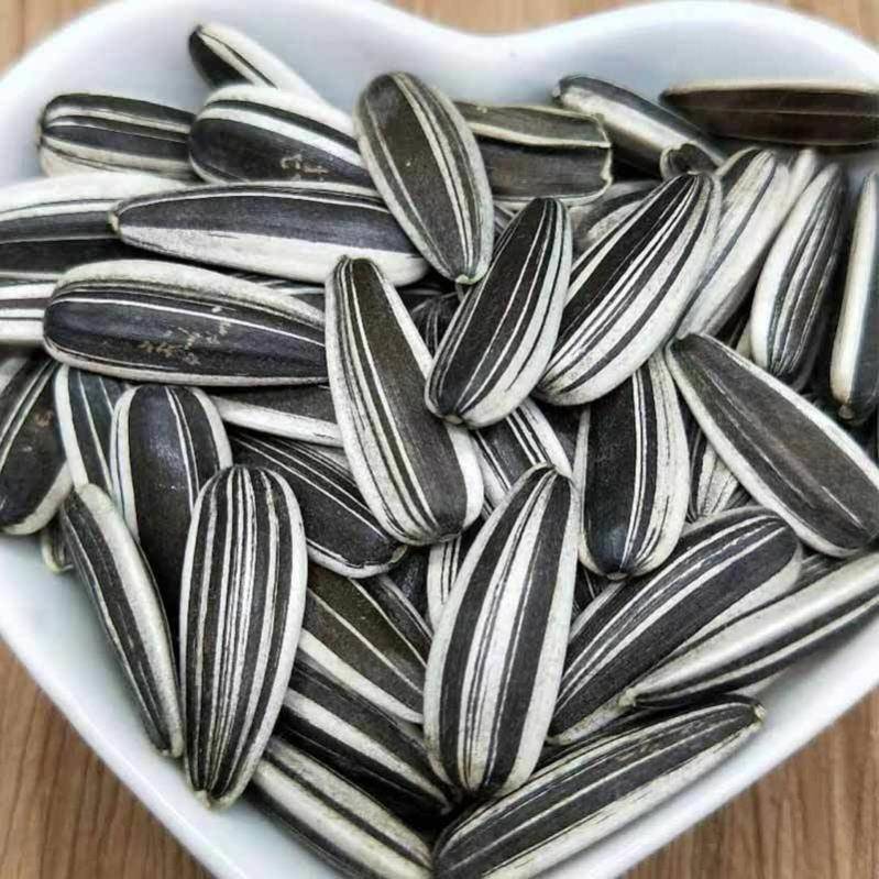 5斤新货生瓜子 葵花籽散装大粒原味809瓜子薄皮饱满3斤2斤