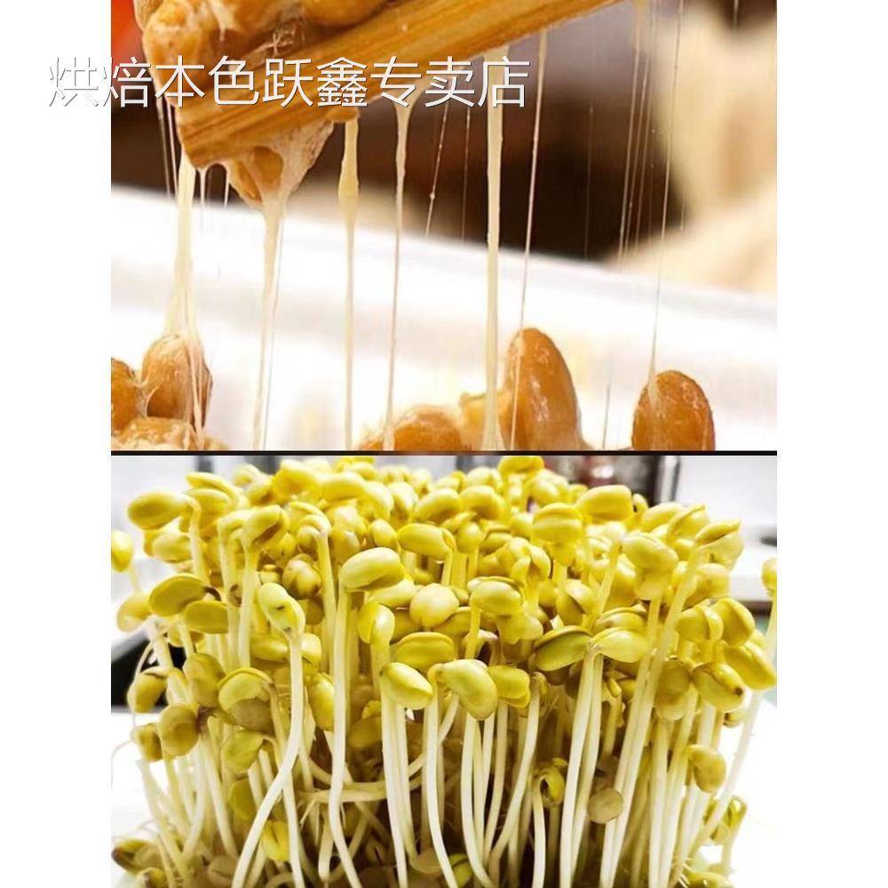 小粒黄豆690发豆芽专用纳豆生豆芽豆农家非转基因珍珠粒小金黄豆