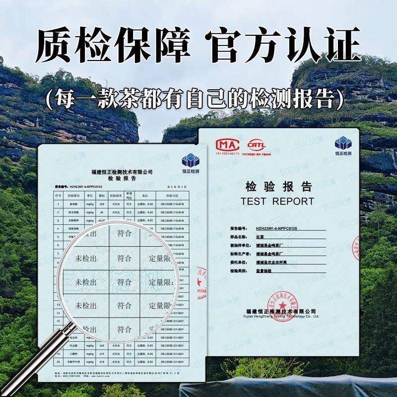 武夷肉桂茶叶供应链新茶一级散装500g可小袋装浓香型肉桂岩茶