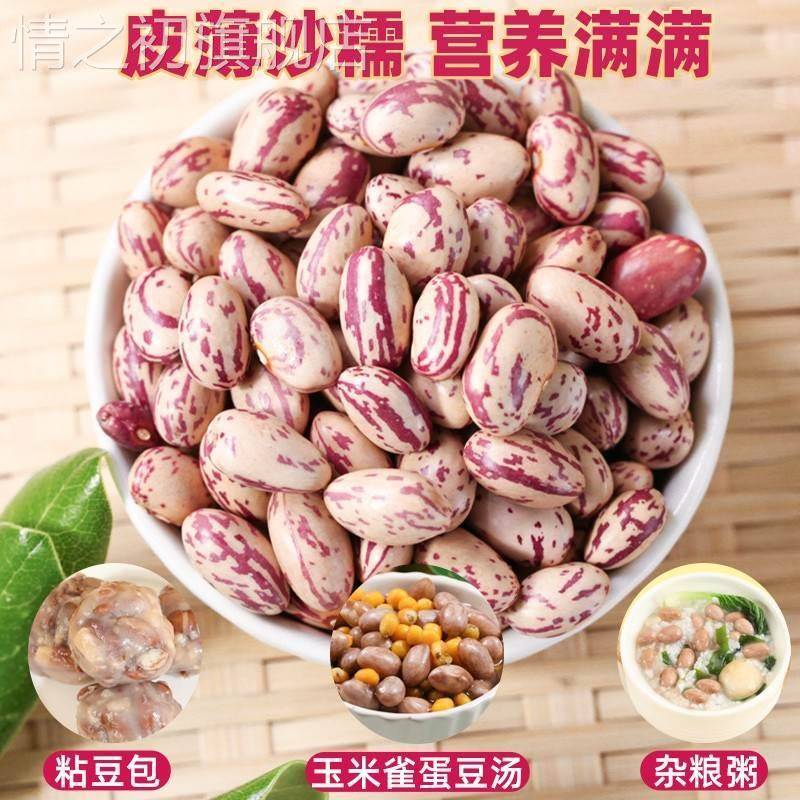云南雀蛋豆奶花芸豆新货新鲜四季豆米麻雀豆饭豆子花生云豆类